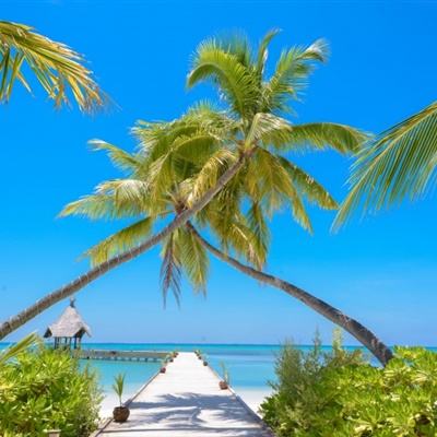 BOB博鱼·体育官网入口