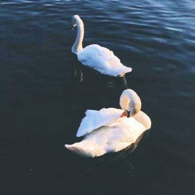 宝博游戏手机app下载