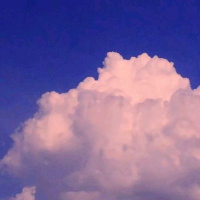 宝博游戏手机app下载