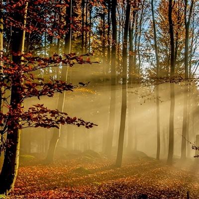 云开全站登录app